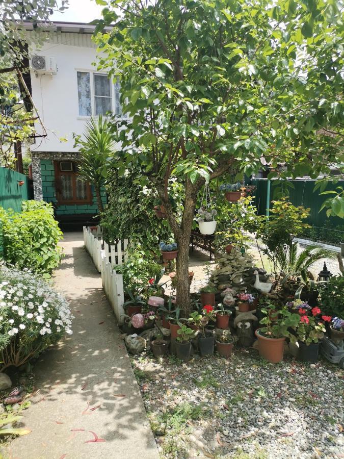 Гостевой Дом В Гаграх"Море Солнца" Gagra Buitenkant foto